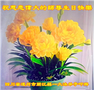 四川大法弟子庆祝世界法轮大法日(20条)