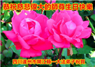 四川大法弟子庆祝世界法轮大法日(20条)