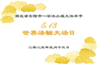 湖北大法弟子庆祝世界法轮大法日(19条)