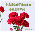 潍坊大法弟子庆祝世界法轮大法日(19条)