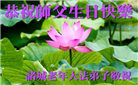 潍坊大法弟子庆祝世界法轮大法日(19条)