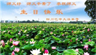 四川大法弟子庆祝世界法轮大法日(23条)