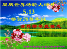 河南大法弟子庆祝世界法轮大法日(20条)