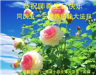 成都大法弟子庆祝世界法轮大法日(22条)
