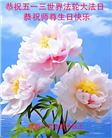 成都大法弟子庆祝世界法轮大法日(22条)