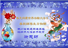 四川大法弟子庆祝世界法轮大法日(23条)