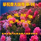 成都大法弟子庆祝世界法轮大法日(22条)