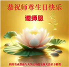 成都大法弟子庆祝世界法轮大法日(19条)