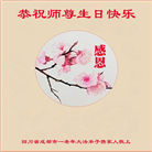 成都大法弟子庆祝世界法轮大法日(18条)