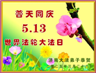 济南大法弟子庆祝世界法轮大法日(18条)
