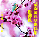 大陆大法弟子庆祝世界法轮大法日(30条)