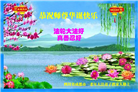 成都大法弟子庆祝世界法轮大法日(18条)