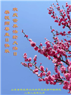 山东大法弟子庆祝世界法轮大法日(20条)
