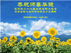 成都大法弟子庆祝世界法轮大法日(18条)