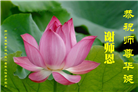 成都大法弟子庆祝世界法轮大法日(18条)