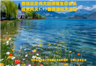 唐山大法弟子庆祝世界法轮大法日(21条)