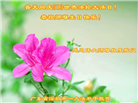 广东大法弟子庆祝世界法轮大法日(21条)