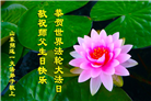 山东大法弟子庆祝世界法轮大法日(20条)