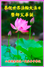山东大法弟子庆祝世界法轮大法日(20条)