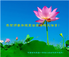 河南大法弟子庆祝世界法轮大法日(21条)