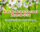 河南大法弟子庆祝世界法轮大法日(21条)