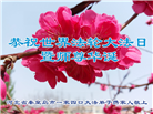 秦皇岛大法弟子庆祝世界法轮大法日(19条)
