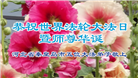 秦皇岛大法弟子庆祝世界法轮大法日(19条)