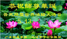 广东大法弟子庆祝世界法轮大法日(21条)