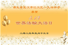 湖北大法弟子庆祝世界法轮大法日(19条)