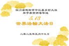 乡村大法弟子庆祝世界法轮大法日(19条)