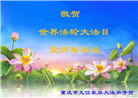 重庆大法弟子庆祝世界法轮大法日(23条)