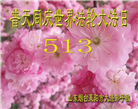 山东大法弟子庆祝世界法轮大法日(20条)