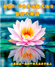 山东大法弟子庆祝世界法轮大法日(20条)