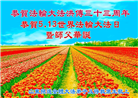 山东大法弟子庆祝世界法轮大法日(20条)