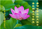 山东大法弟子庆祝世界法轮大法日(20条)