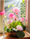 广东大法弟子庆祝世界法轮大法日(20条)