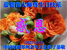 郑州大法弟子庆祝世界法轮大法日(18条)