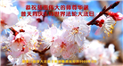 张家口大法弟子庆祝世界法轮大法日(22条)