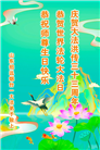 山东大法弟子庆祝世界法轮大法日(22条)