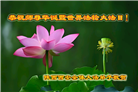西安大法弟子庆祝世界法轮大法日(19条)