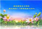 湖北大法弟子庆祝世界法轮大法日(19条)