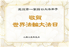 湖北大法弟子庆祝世界法轮大法日(19条)