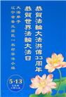 乡村大法弟子庆祝世界法轮大法日(19条)