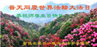 广东大法弟子庆祝世界法轮大法日(20条)