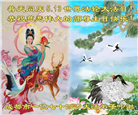 四川大法弟子庆祝世界法轮大法日(156条)