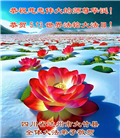 四川大法弟子庆祝世界法轮大法日(161条)