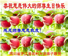 乡村大法弟子庆祝世界法轮大法日(38条)