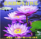 四川大法弟子庆祝世界法轮大法日(161条)