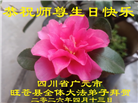乡村大法弟子庆祝世界法轮大法日(38条)