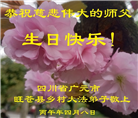 四川大法弟子庆祝世界法轮大法日(161条)